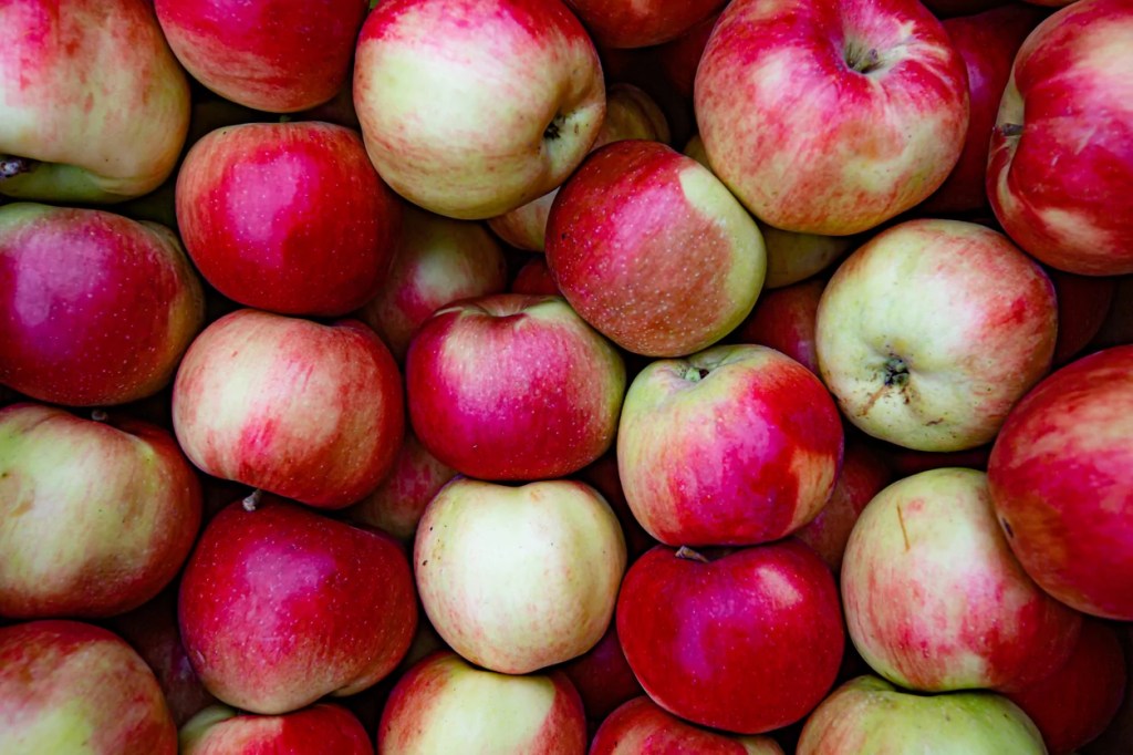 Then and Now: Apples