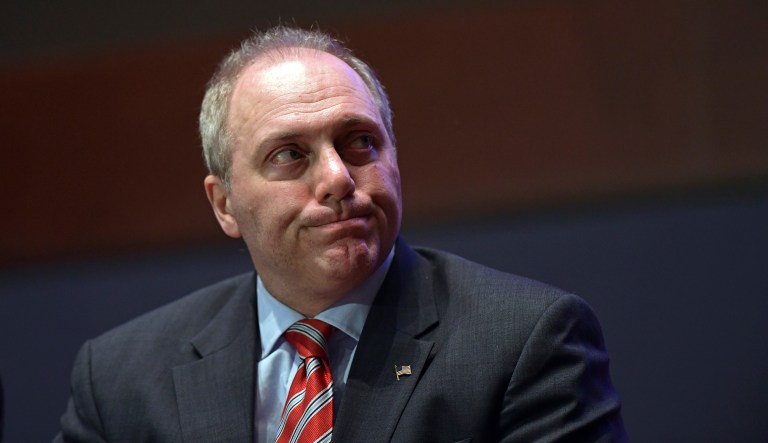 House Majority Whip Steve Scalise, R-La., said that one of the best actions by Congress last year was repealing the law's individual mandate that requires everyone to get health insurance or pay a fine, which was included in the tax reform legislation. (AP Photo/Susan Walsh)