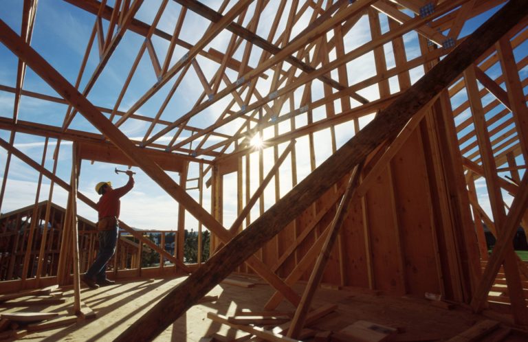 Carpenter Building a House
