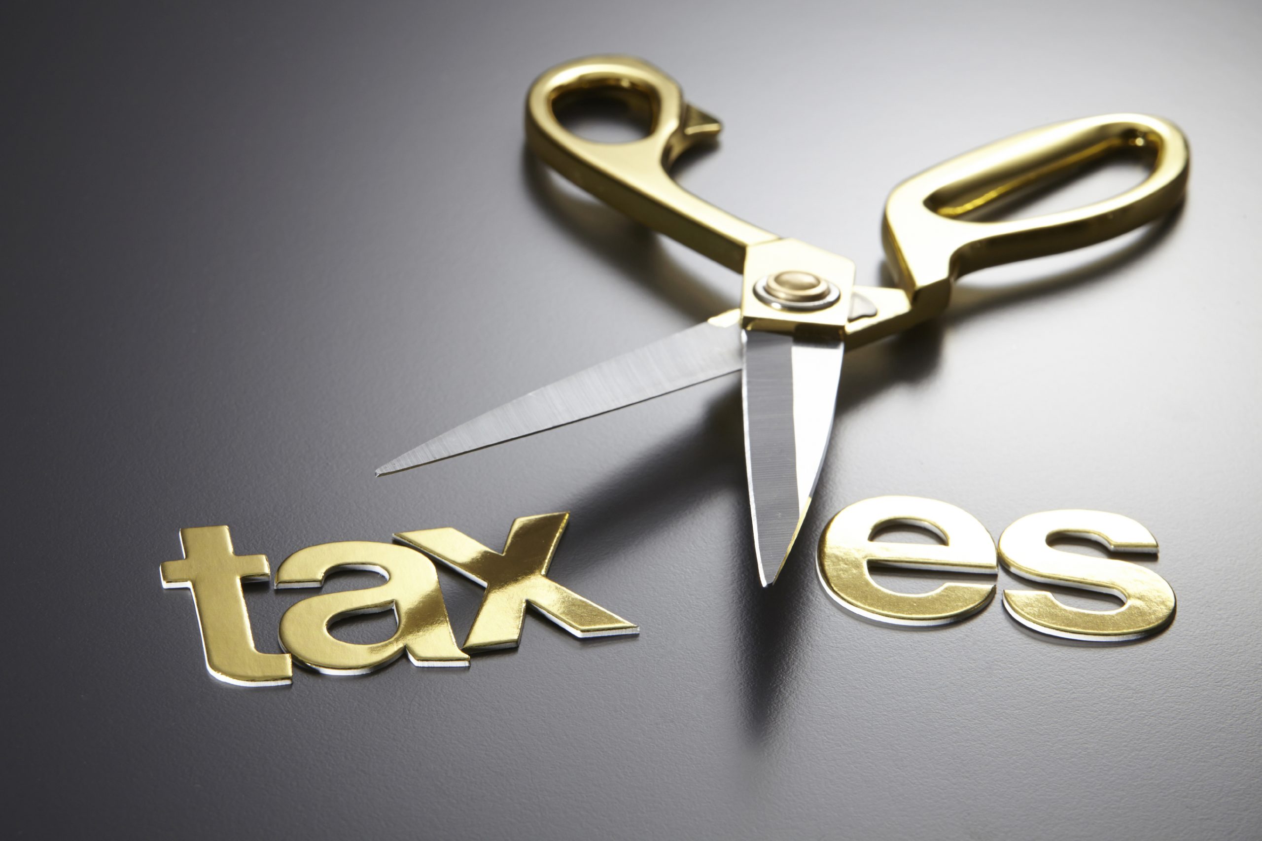 The case for a payroll tax cut