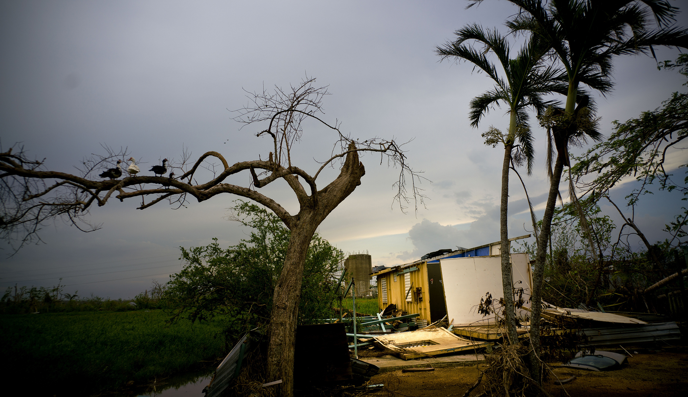 White House seeks $44 billion in disaster relief funding, proposes offsetting cuts