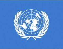UN Moves Forward to Implement Goldstone Report