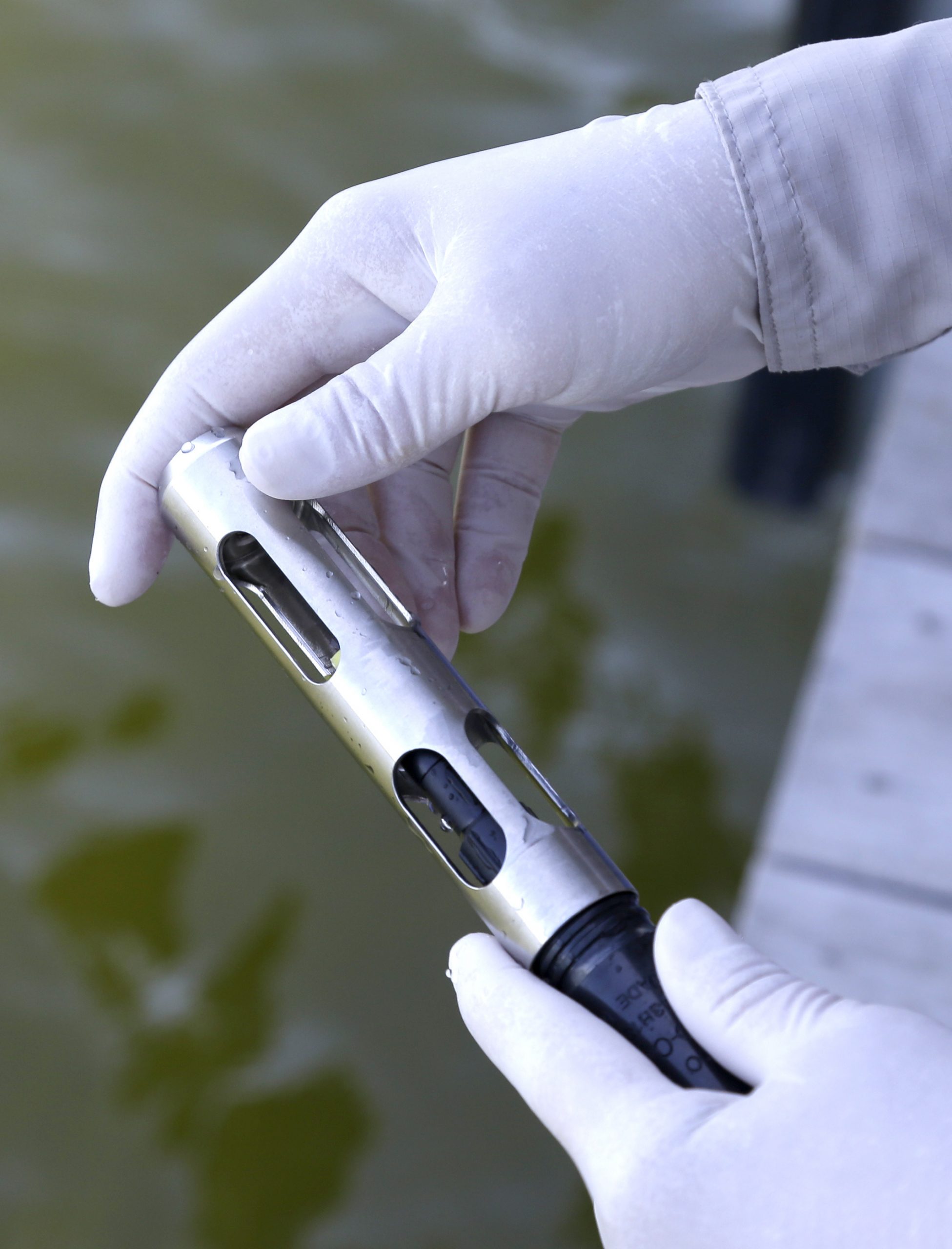 New regulation targets latch-happy zebra mussels