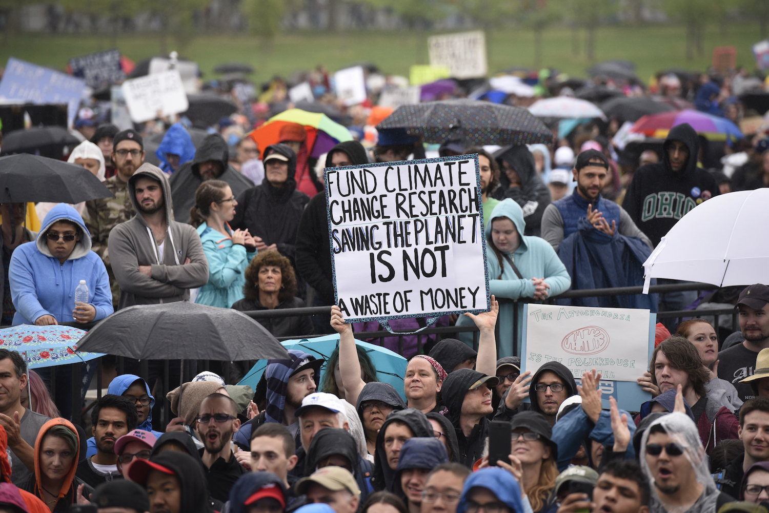 Liberals celebrate March for Science