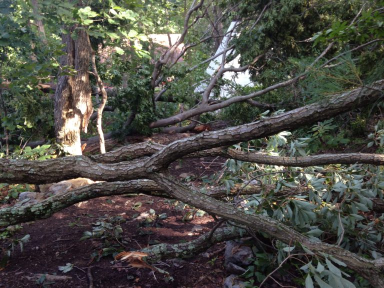 A Wednesday, July 9, 2014 photo shows fallen trees at River Valley Ranch camp in Manchester, Md., where a tree fell Tuesday during a strong thunderstorm, killing one child and injuring six others. The children were headed to a shelter when a tree fell on them. Severe thunderstorms packing strong winds swept through a number of Eastern states, killing five people, destroying or damaging numerous houses and leaving nearly 200,000 without power Wednesday, officials said. (AP Photo/Juliet Linderman)