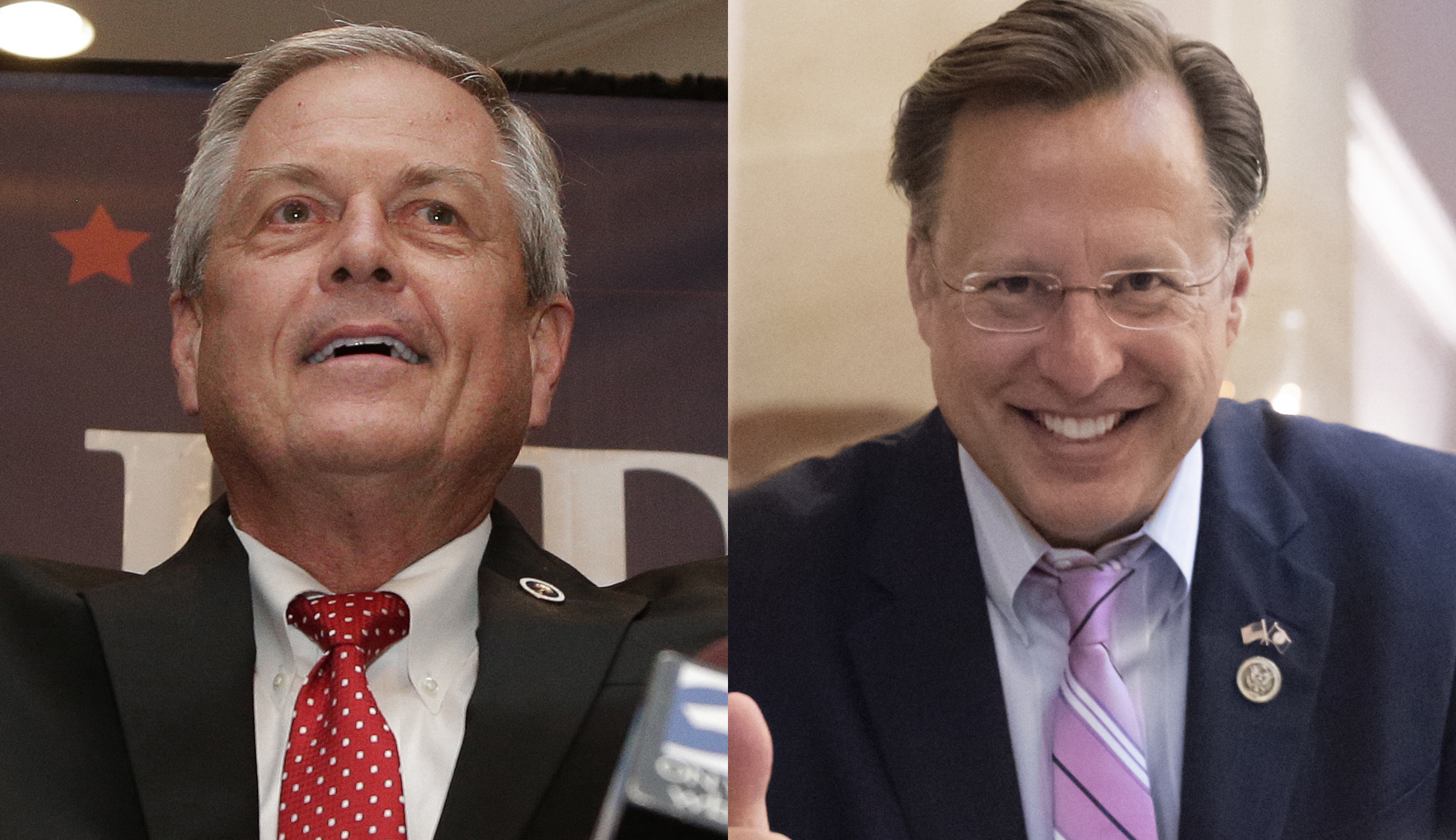 In the fight between rodents and humans, environmentalists choose the rats