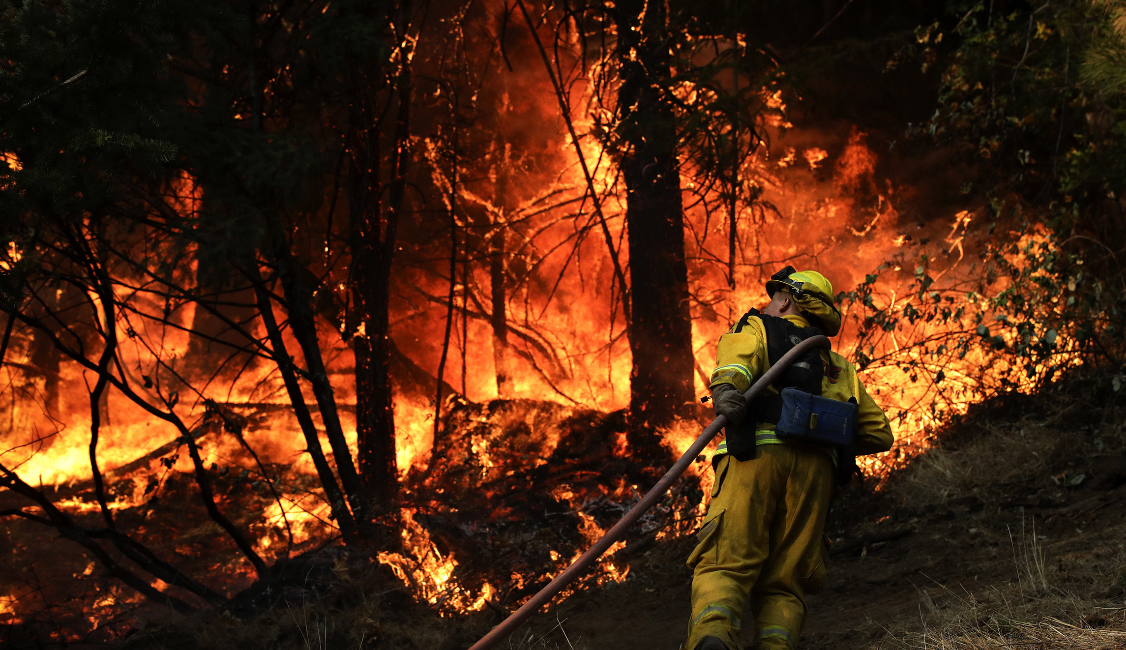 Forest management, not climate change, remains most important factor in California’s wildfires