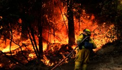 California fires scorch tens of thousands of acres amid heat wave