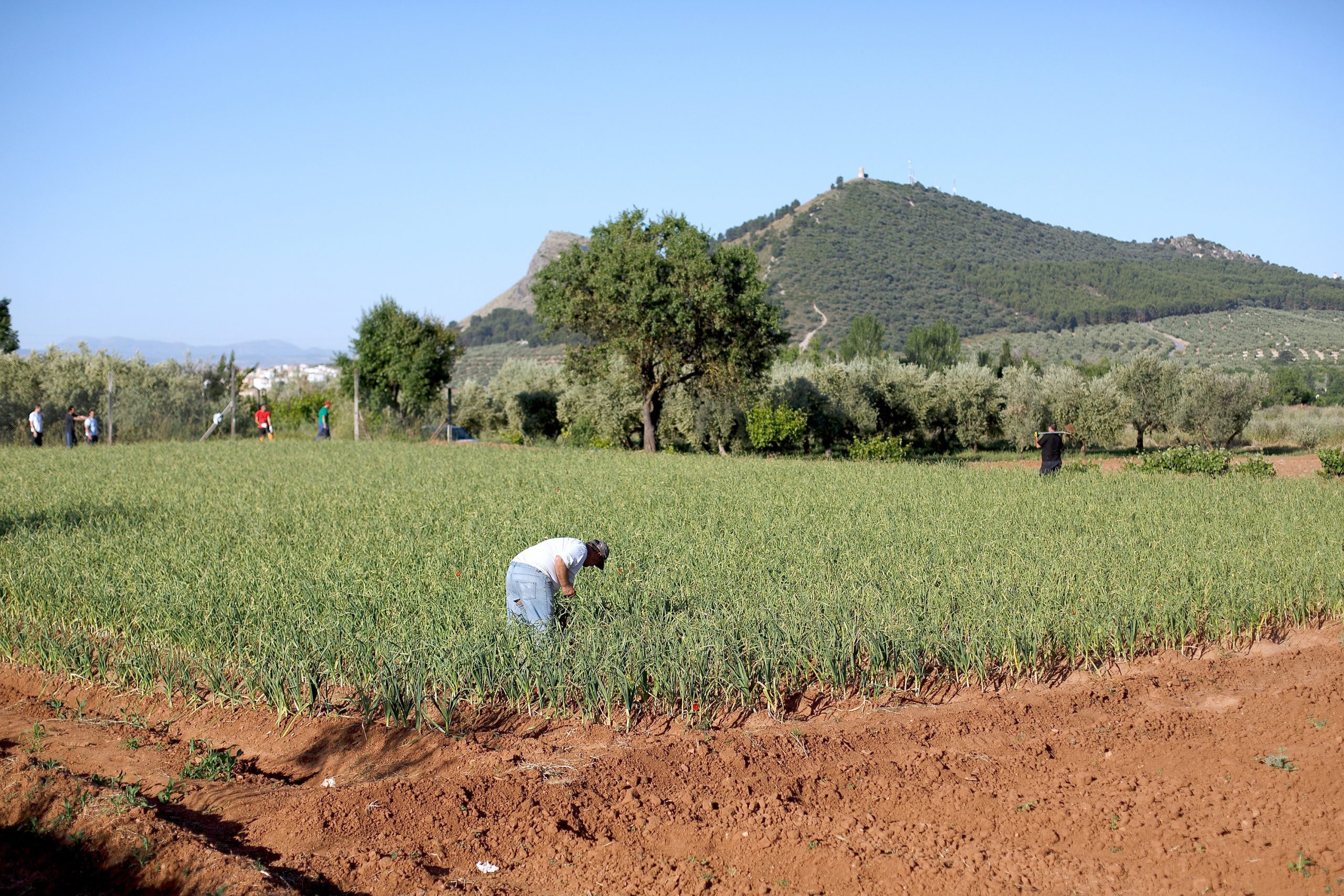 Subsidies for Little Guys usually mean profits for Big Guys