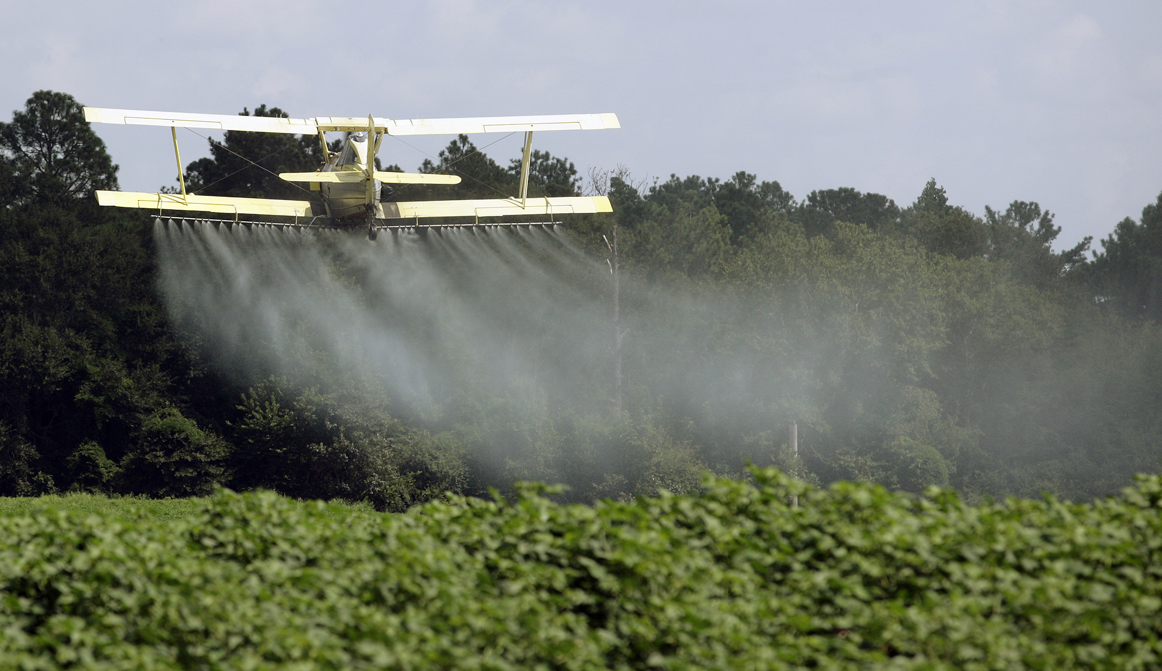 Pesticides are necessary to fight hunger and protect the environment