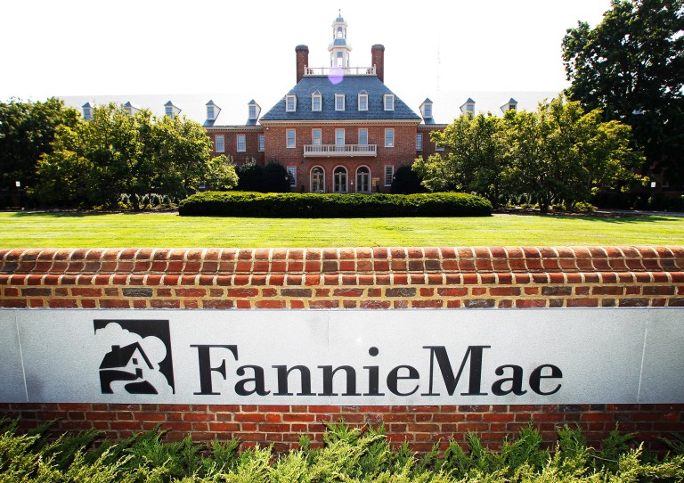 Congress created Fannie Mae and Freddie Mac in past decades in order to pump up the housing market. (AP Photo/Manuel Balce Ceneta)