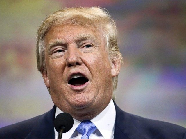 President Trump charged in a new interview that Democrats are looking to protect 'vicious' MS-13 gang members.