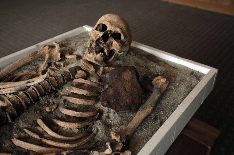   A skeleton dating back to the Middle Ages and recently unearthed in the black sea town of Sozopol, and displayed at National History Museum in Sofia, Thursday, June 14, 2012. Ever since archaeologists announced last week that they had found two ancient skeletons in Bulgaria with iron rods thrust through their chests, the media have been reporting how Bulgarians once did that to prevent the dead from emerging from the grave as vampires. On Saturday, one of those 700-year-old skeletons will be put on display at the National History Museum in Sofia, and its director, Bozhidar Dimitrov, says he expects there to be a big turnout. (AP Photo/Valentina Petrova)  