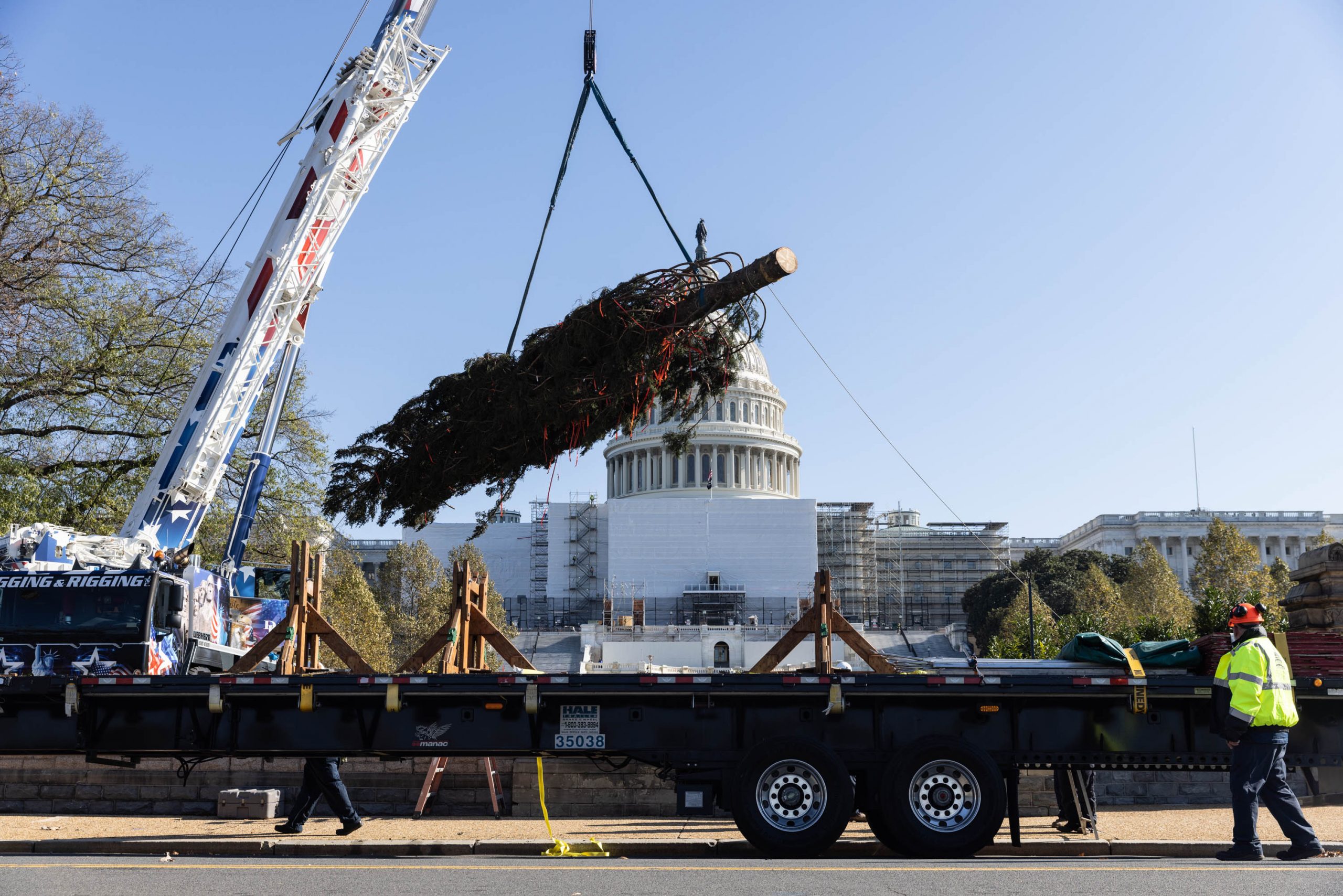 Workers helps to unload the U.S. Capitol Christmas Tree on the grounds of the U.S. Capitol, November 18, 2022 This year's tree is a 78-foot red spruce from the Pisgah National Forest in North Carolina.
