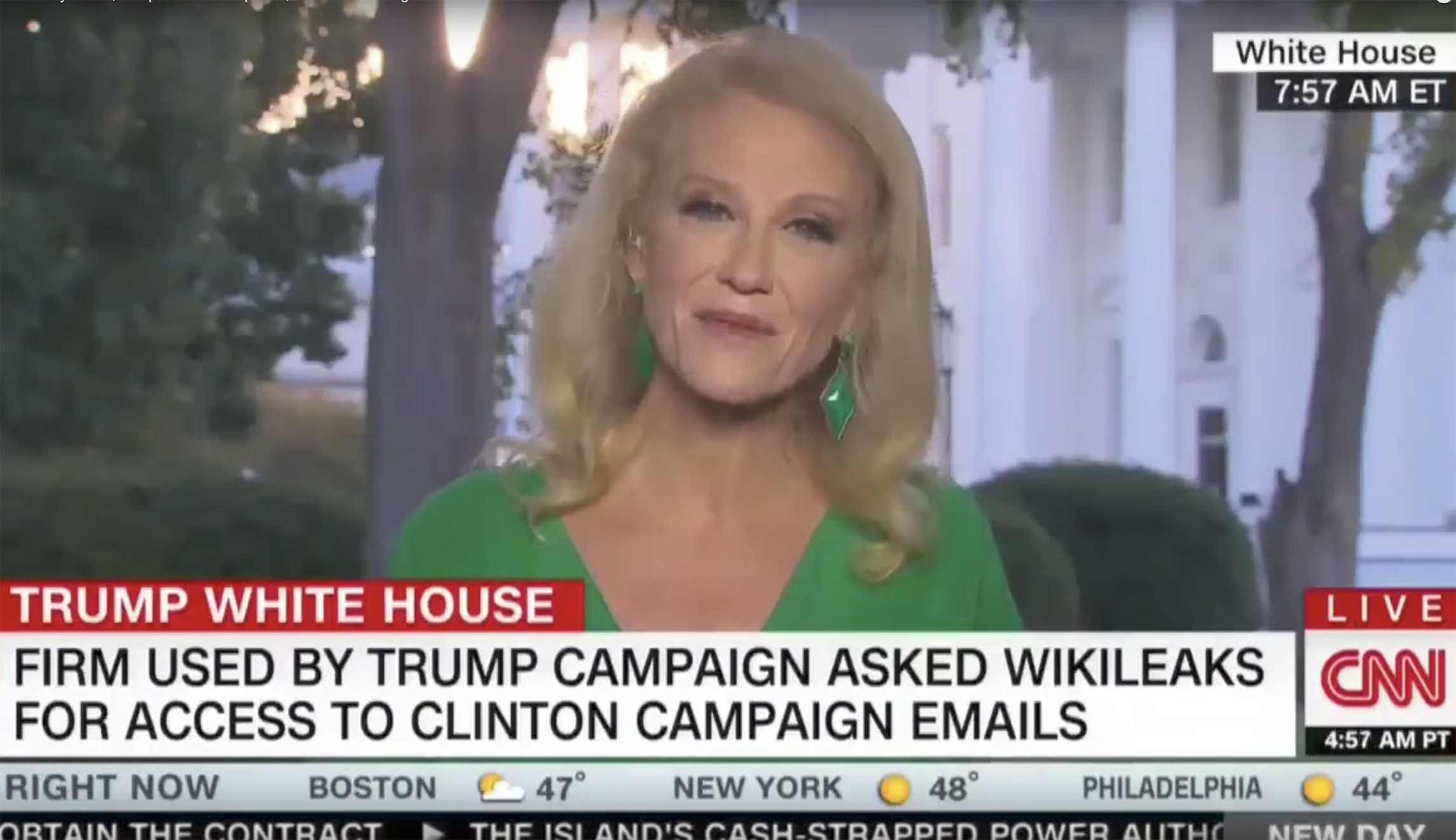Kellyanne Conway interrupts CNN interview to tell a squirrel hi