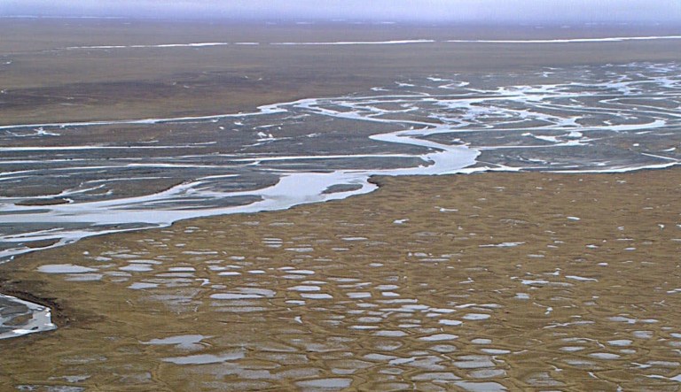 The ANWR provision, as it was advanced by the Senate Environment and Natural Resources Committee, violates the Byrd Rule governing budget reconciliation, according to a Democratic source.
			(AP Photo/Al Grillo)
