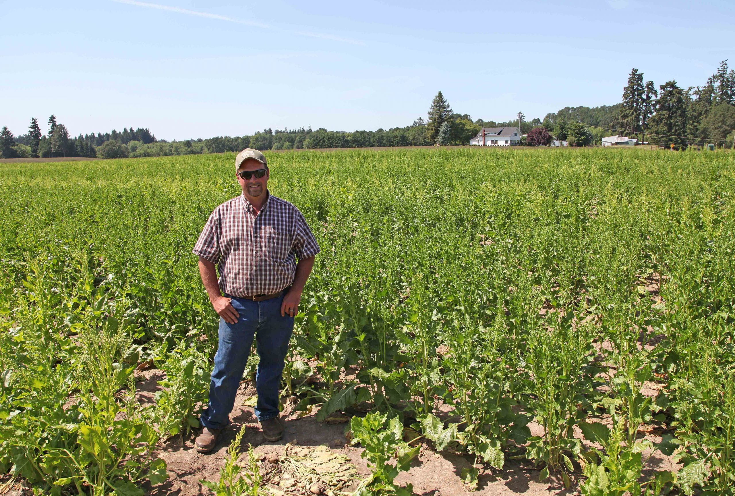 Oregon hopes to be first state to map GMO fields