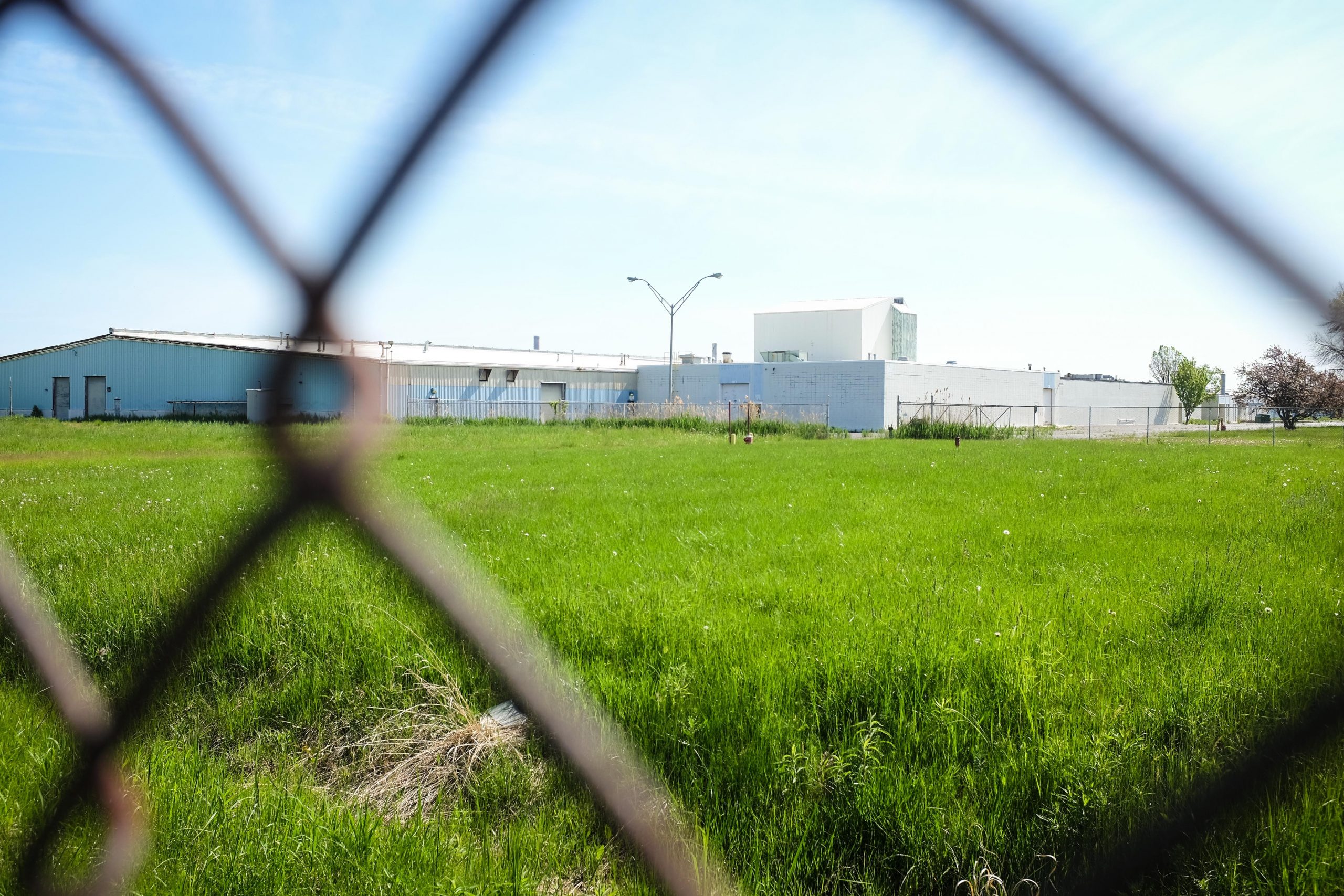 Billy Sims plans milk powder processing plant