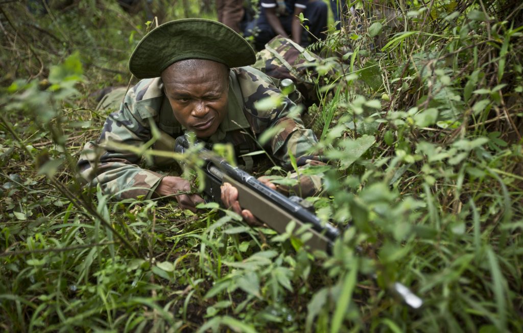 Kenya gov’t to oversee wildlife authority actions