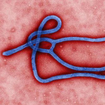 Podcast: What’s So Scary About Ebola