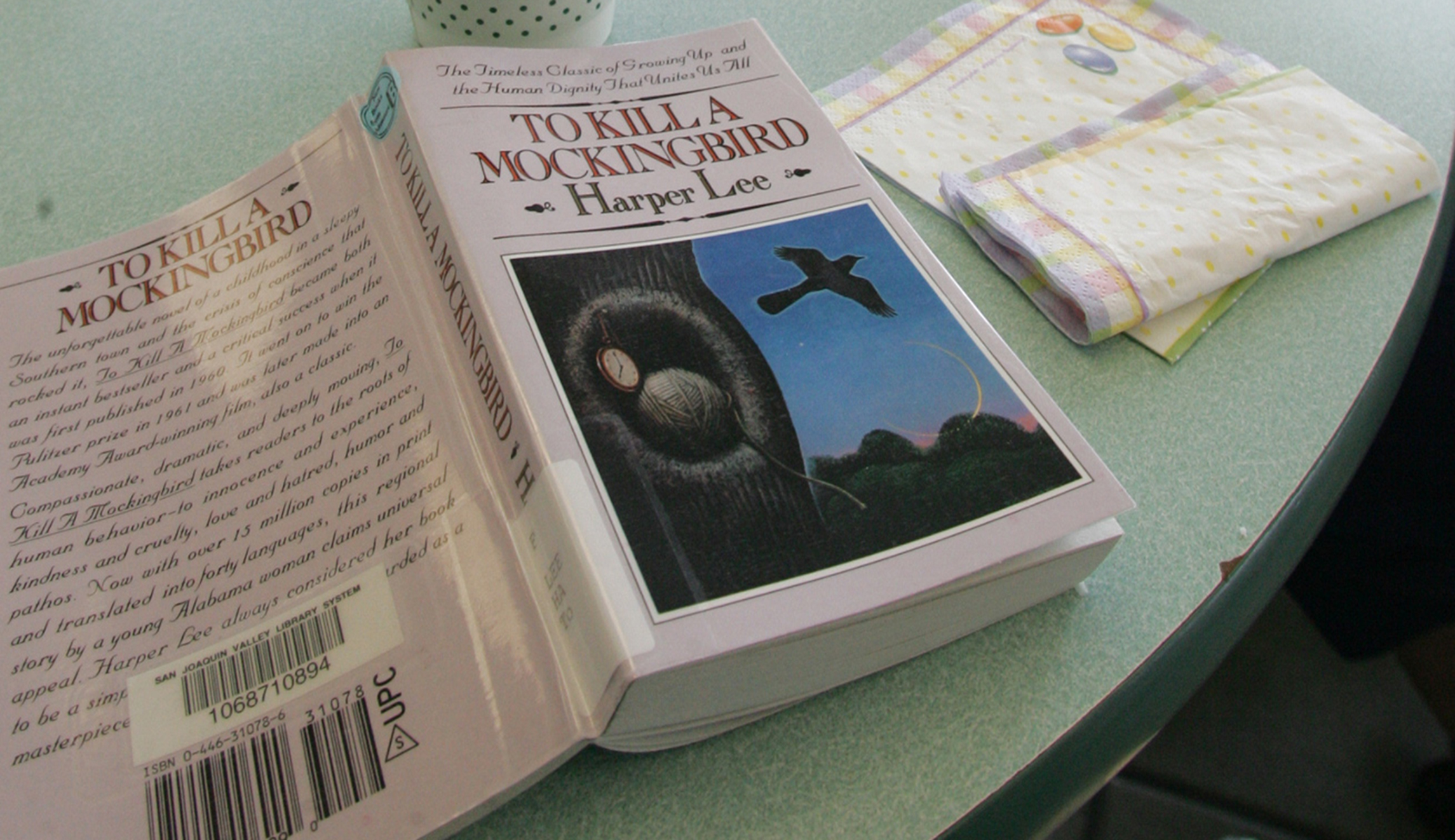 Banning books, especially ‘To Kill a Mockingbird’ and ‘The Adventures of Huckleberry Finn,’ in the name of political correctness is absurd