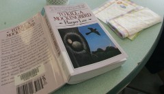 Banning books, especially ‘To Kill a Mockingbird’ and ‘The Adventures of Huckleberry Finn,’ in the name of political correctness is absurd