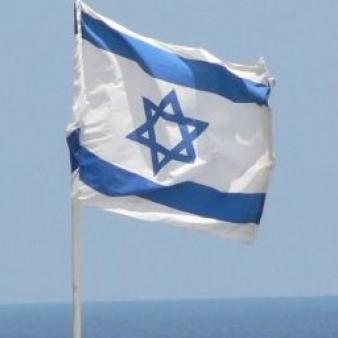 Divestment Fails—For Now