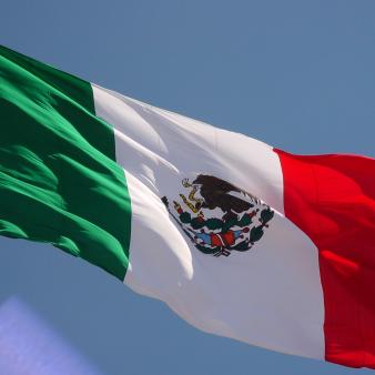 Why Mexico Must Destroy the Cartels