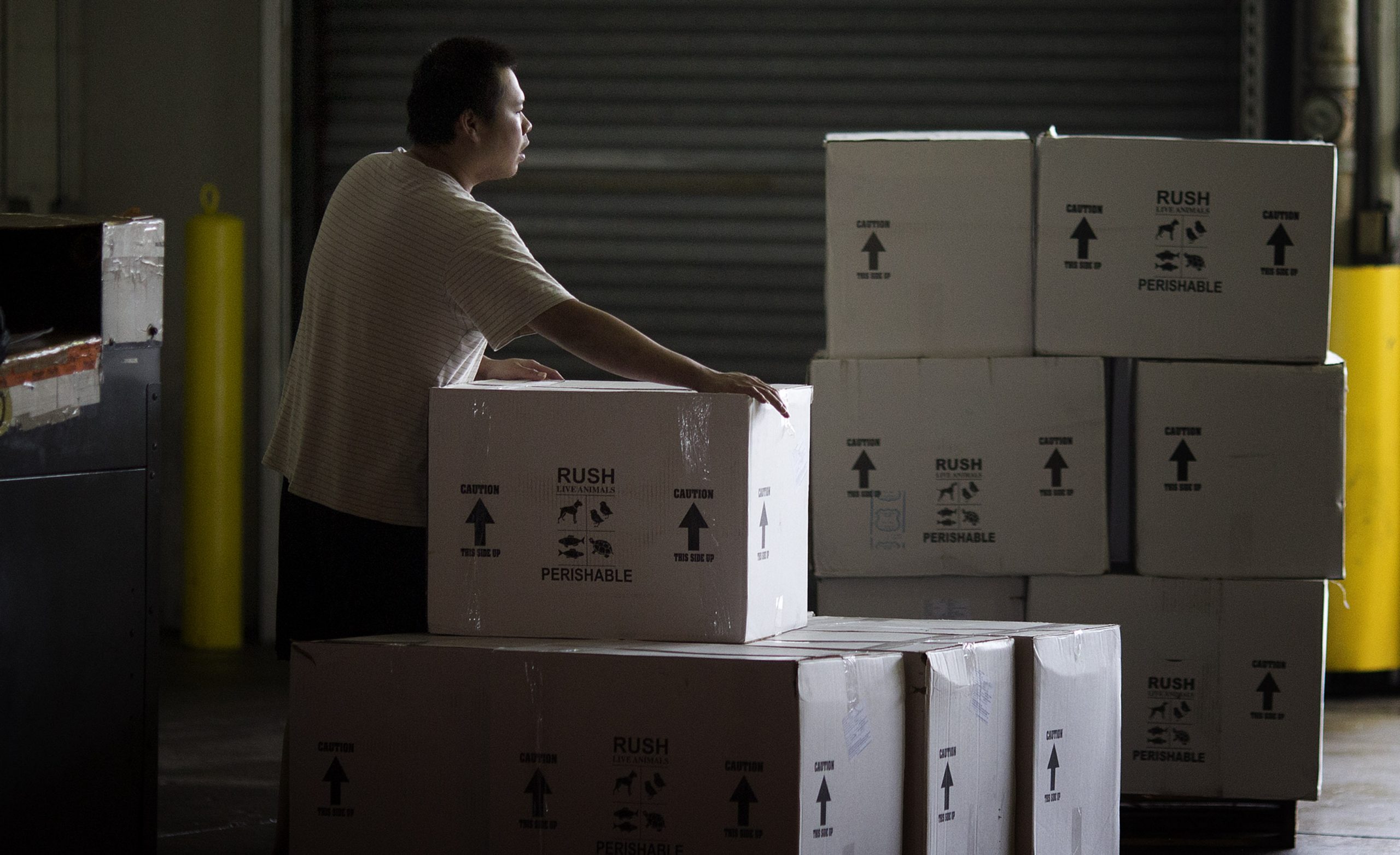 Inflation at 10.8% in producer index for May, near highest on record