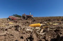 Number of US farms declines, farmers getting older
