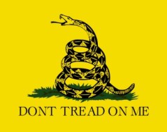 Tea Party Hackers vs. WikiLeaks?