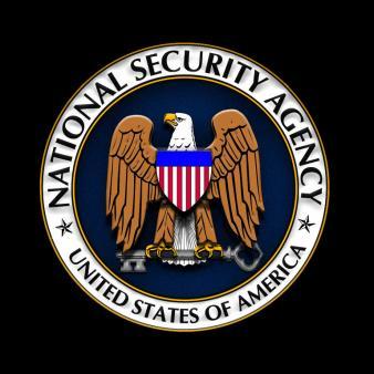 Rogue Panel Reports on Non-Rogue NSA Program