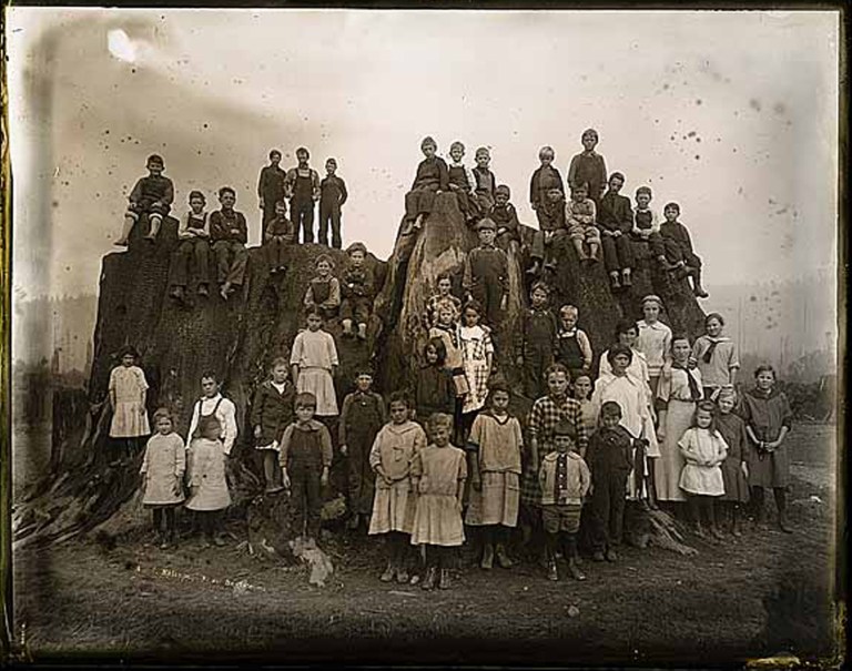   This undated photo by A.W. Ericson, provided by the Humboldt State University Library, shows school children posing on the Fieldbrook Stump, a huge coast redwood outside McKinleyville, Calif., sometime in the 1890s. The Archangel Ancient Tree Archive has produced a clone from a spout at the base of the stump that will be planted on a ranch near Port Orford, Ore. The project is part of an effort to preserve the genetics of some of the world's biggest trees and plant them around the world to combat global warming. (AP Photo/A.W. Ericson, Humboldt State University Library)  