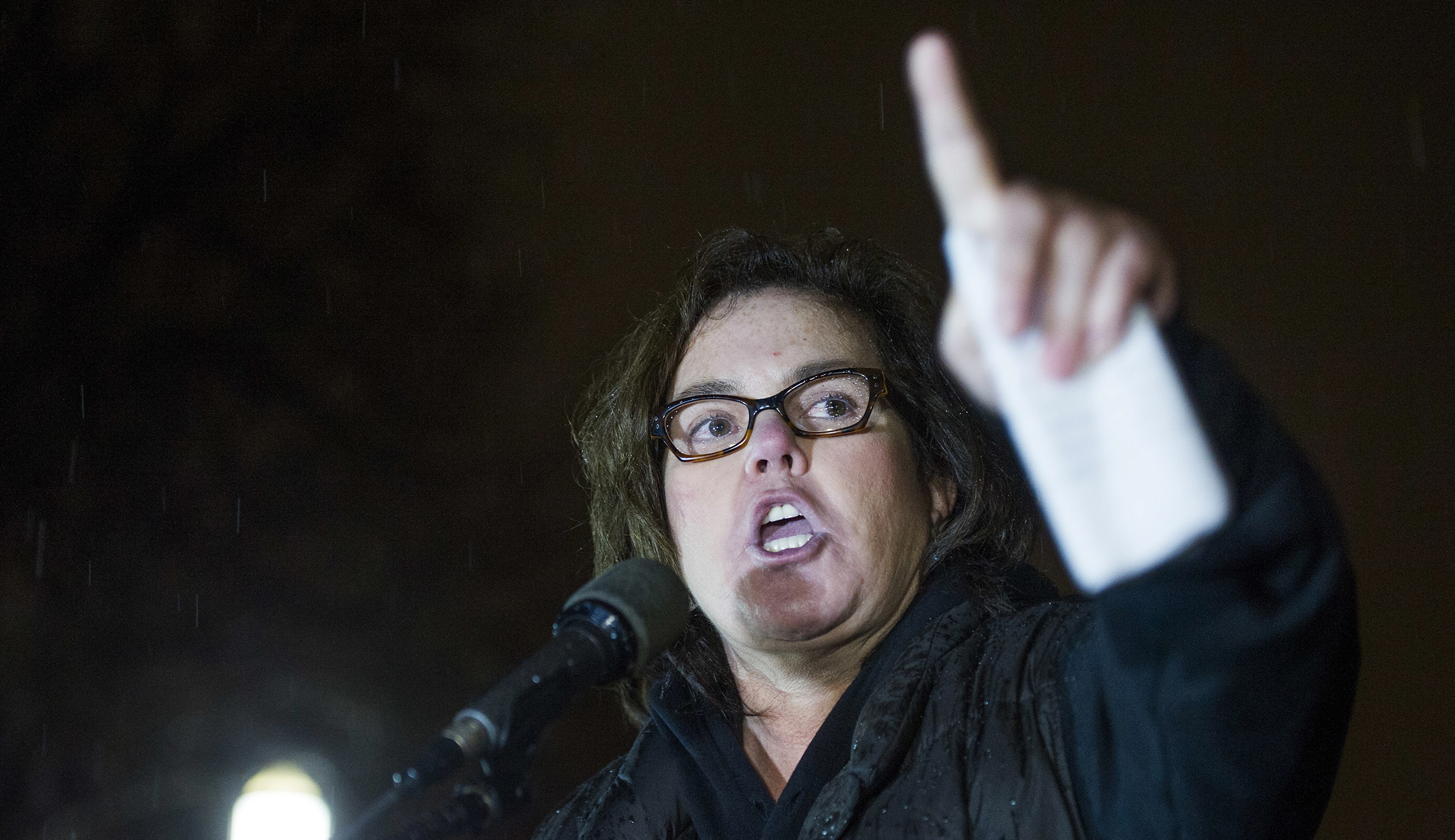 Rosie O’Donnell tells Steve Bannon to shove a Tiki torch up his ‘ass’