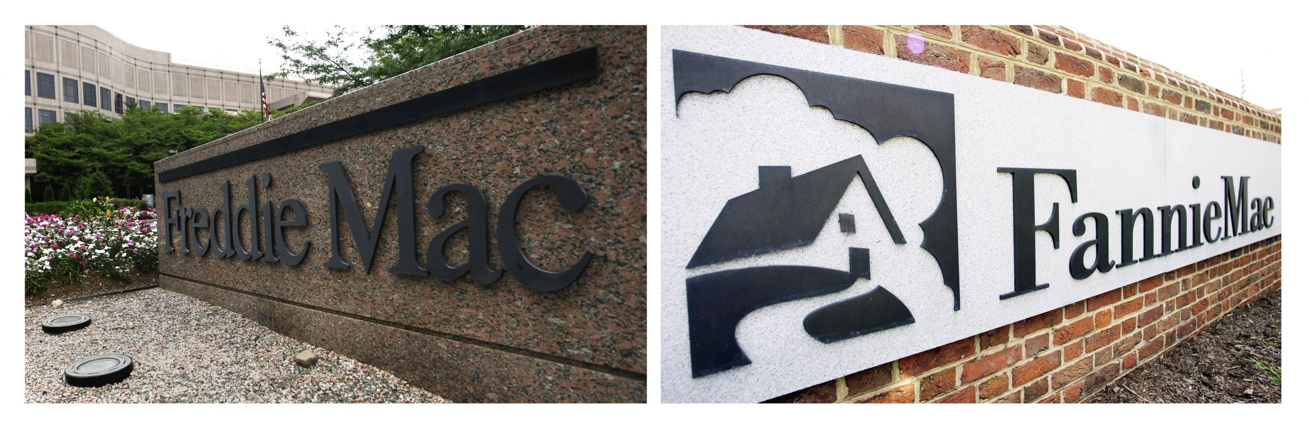 Congress should reform Fannie Mae and Freddie Mac, not kill them