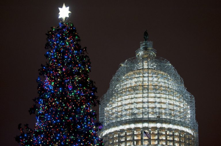The Capitol building and Capitol Hill Christmas tree (Getty images/Pete Marovich)