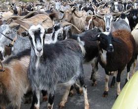 Barnes: ‘The Vast Left-Wing Media Conspiracy’