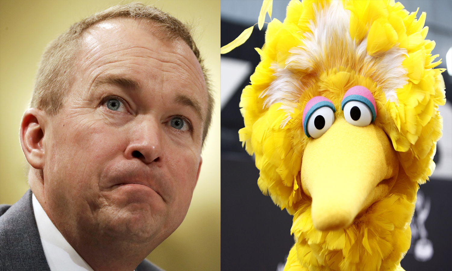 Mulvaney: We’re giving Big Bird a tax cut