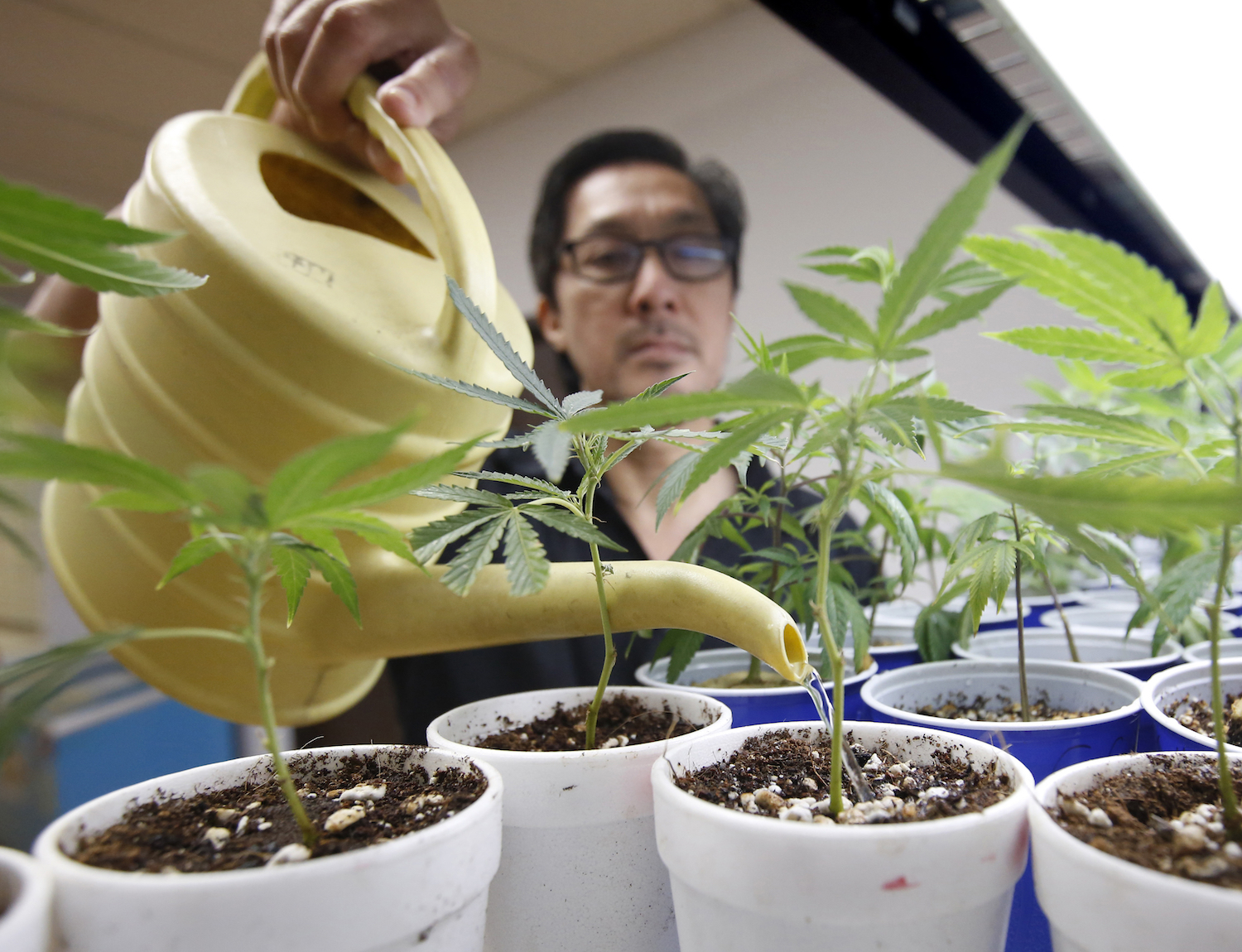 Spicer hints at tighter pot enforcement