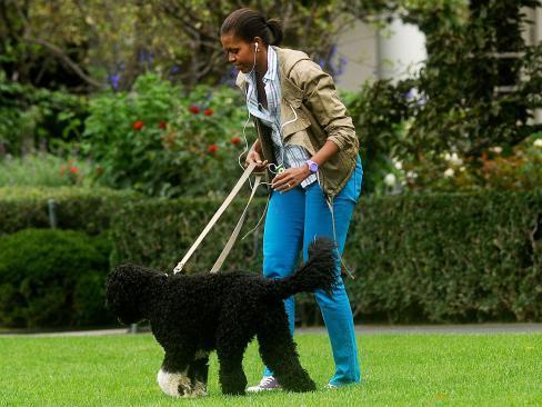 Michelle Obama walking first pup Bo. AP Photo