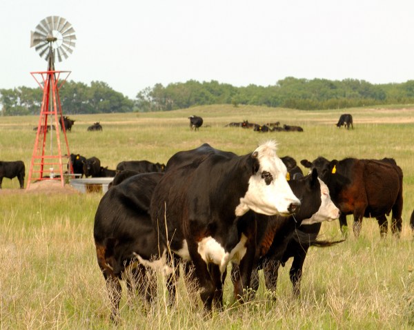 Marlin Stutzman introduces bill to place 70% tariff on Australian wagyu beef