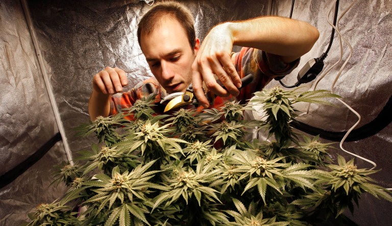 Tens of thousands of people are involved in the industry, which has unions seeking to outmaneuver each other in an effort to sign them up. (AP Photo/Robert F. Bukaty)