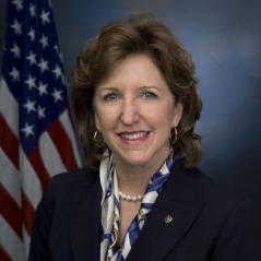 Hagan, Other Senate Dems Up for Reelection Call for Extended Obamacare Enrollment Period