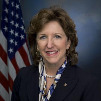 Hagan, Other Senate Dems Up for Reelection Call for Extended Obamacare Enrollment Period