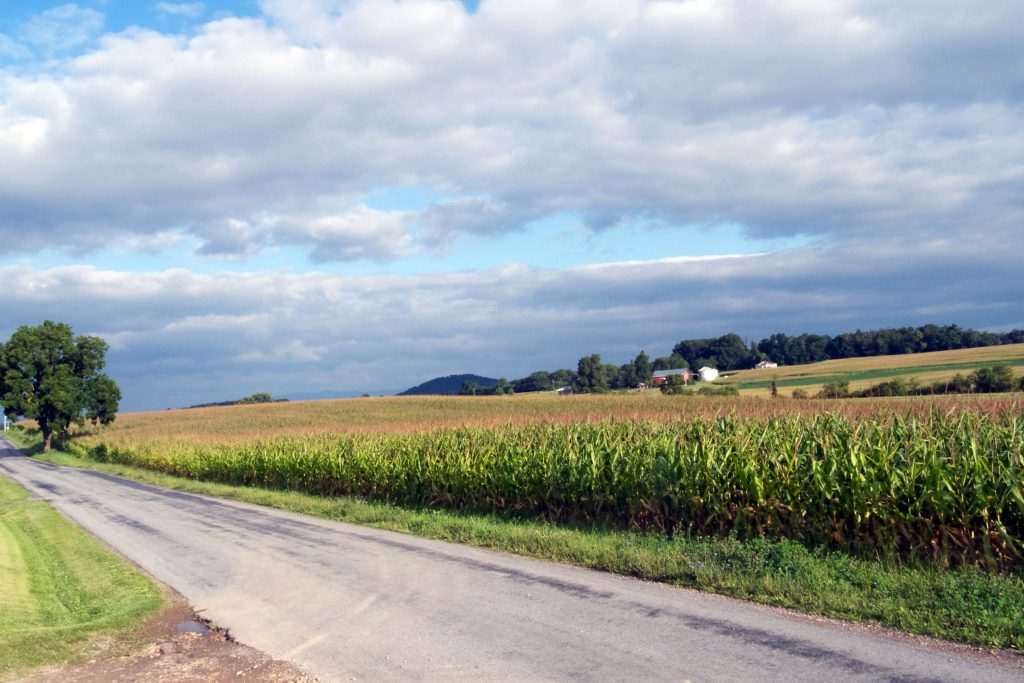 NextImg:New agronomy farm opens as growers face challenging conditions