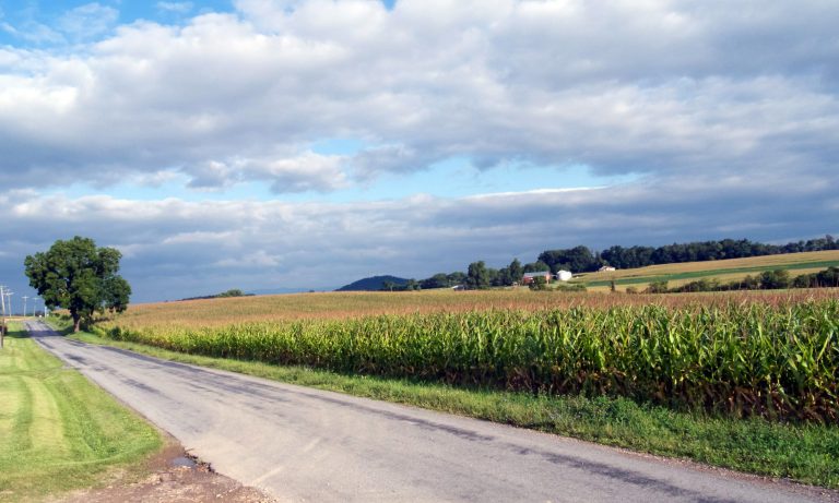 In this photo taken on Aug. 13, 2014, shows farmland along Hall School Road near Patton Farm Road in Stuarts Draft, Va., that is designated on the latest Dominion map as an alternative route for their natural gas pipeline. (AP Photo/The Staunton News Leader, Randall Wolf)