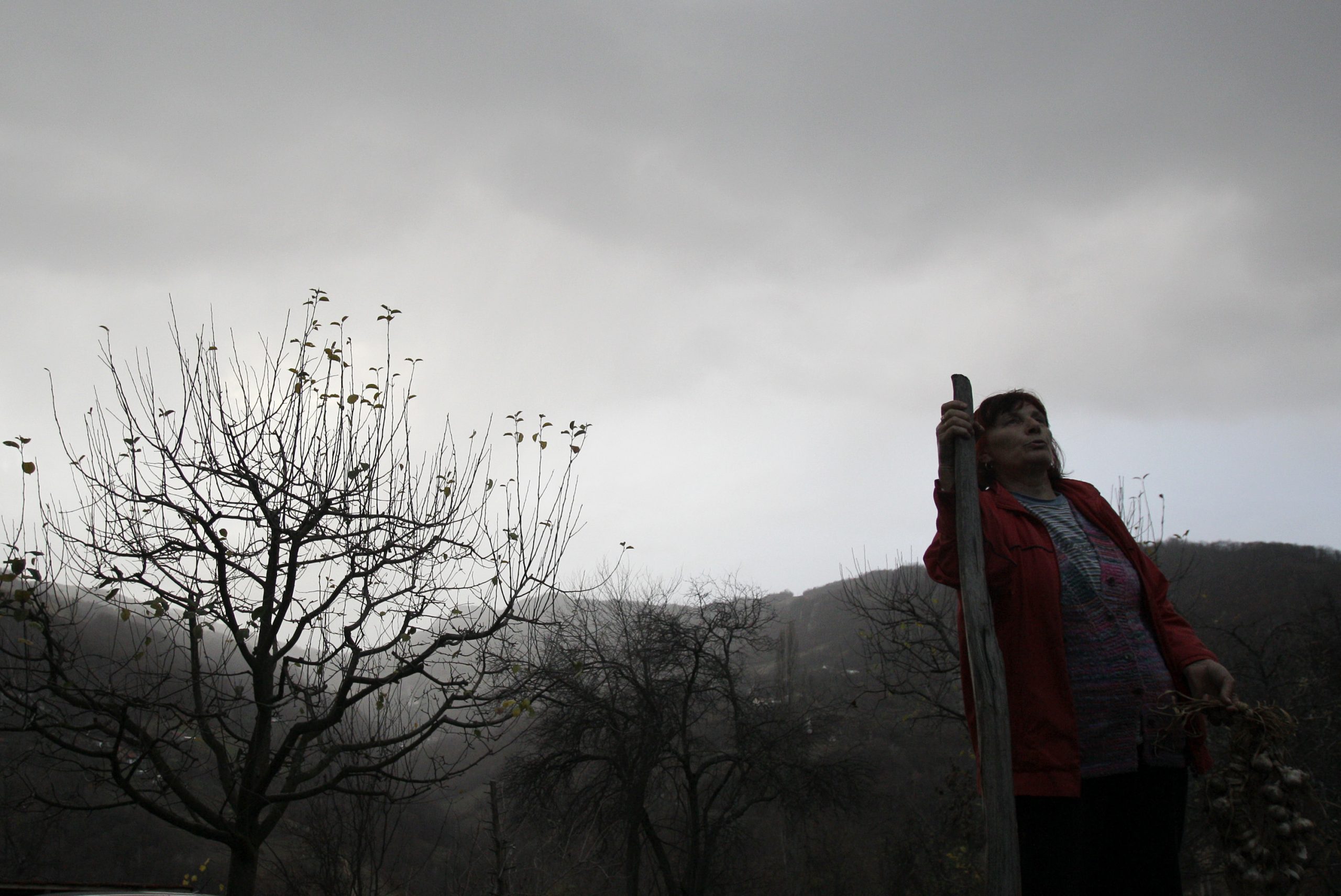 Vampire on the loose in Serbia?