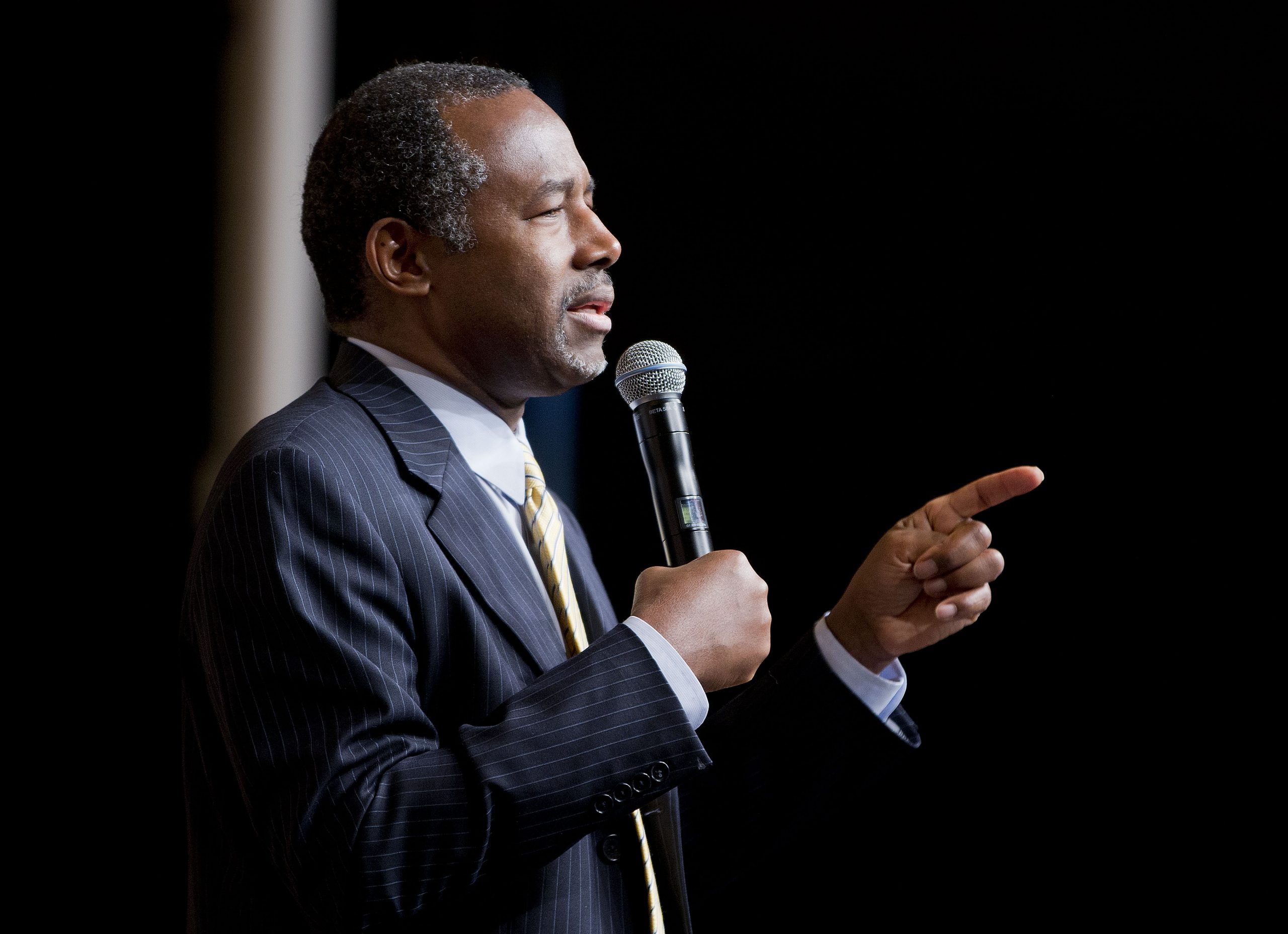Carson: ‘The majority of Americans actually have common sense’