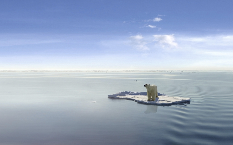 Climate change and the perils of inaction