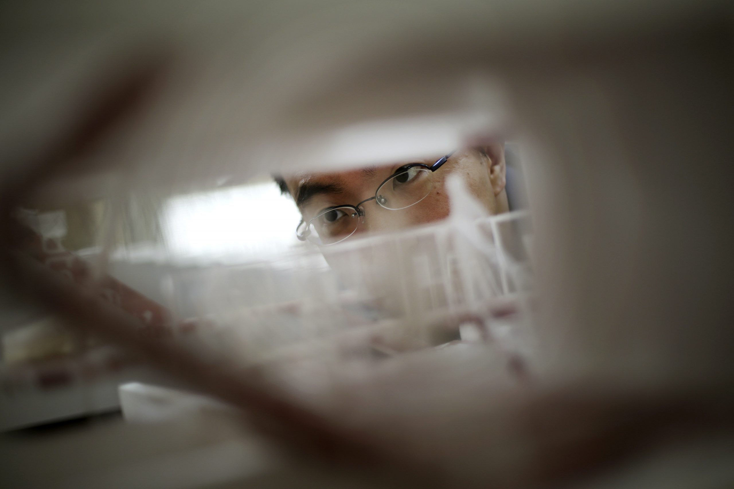 Japan architects sell a lifestyle on global stage